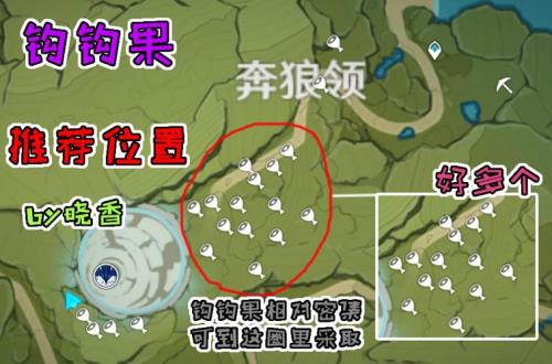 原神钩钩果怎么获得