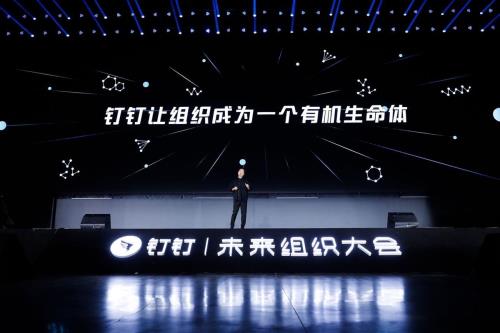 阿里钉钉难进吗