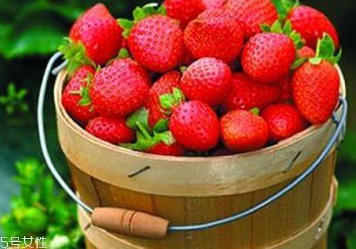 11个月宝宝能吃草莓吗