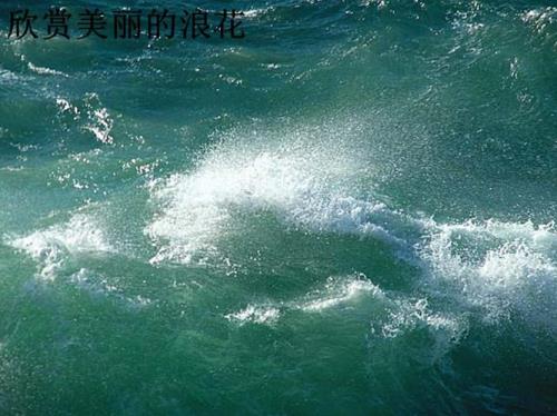 什么样的浪花一年级