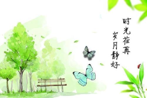 岁月静好歌词大意