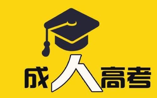大专学历可以考调饮师吗