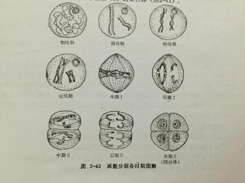 牧放图名词解释