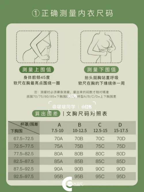 怎样测量下胸围