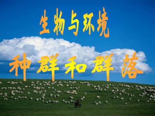 种群和群落的区别