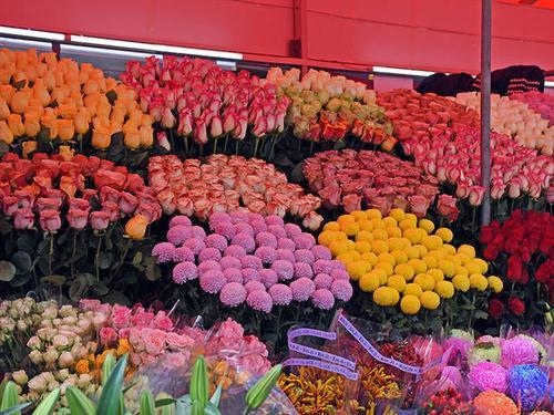 广州新年初一有花市吗