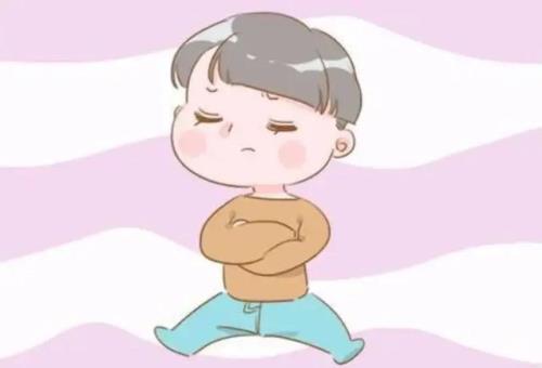 酱皮气什么写