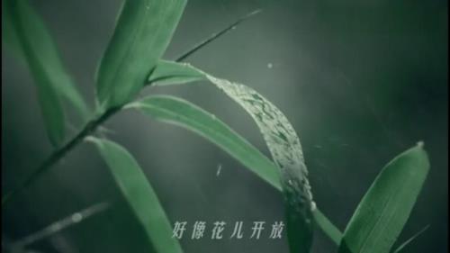 雨中泪原唱完整版男声