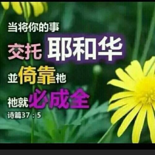 一生一世爱着你出自哪本诗歌