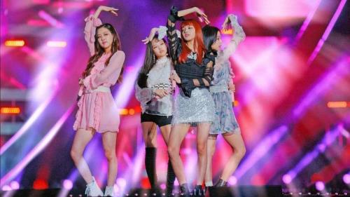 blackpink2024年有演唱会吗