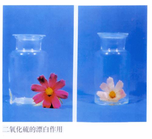 二氧化硫漂白纸浆方程式