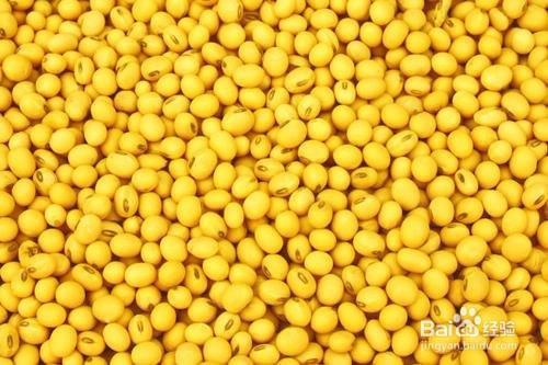 黄豆怎样处理才能上果树