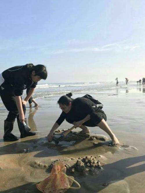 广东湛江赶海十佳排名