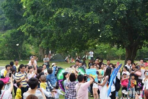 蝴蝶放飞的正确方法