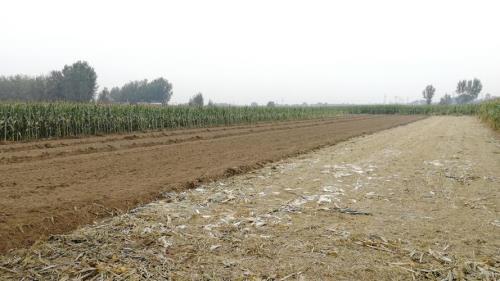 灌溉田地淹没庄稼类似词语