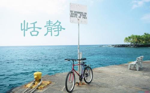 恬静的意思是什么