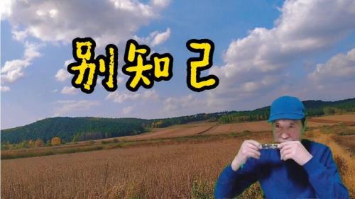 中秋晚会歌曲别知己演唱