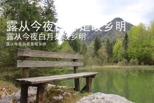 月是故乡明前面一句是什么