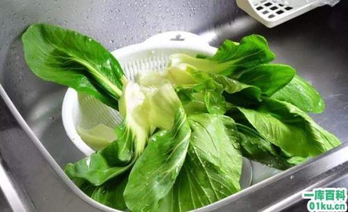 青菜泡一天会坏吗