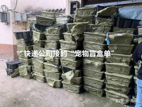 盲盒由盒机发货什么意思