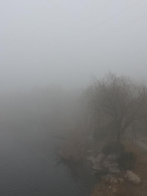 雾蒙蒙的天气怎样发朋友圈