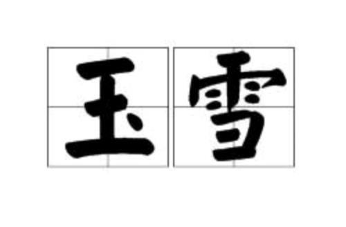 雪的词语四字