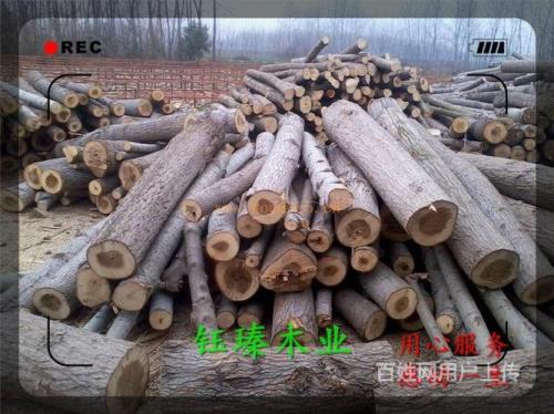 湿杨木一吨多少方