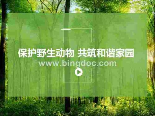 保护动物的级别