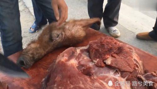 野猪肉能吃吗