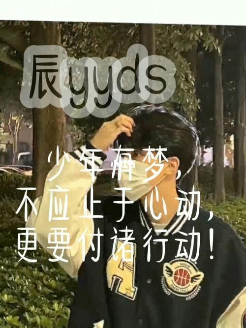 少年有梦不应止于心动的意思