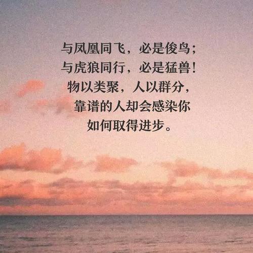 人以群分物以类聚的意思