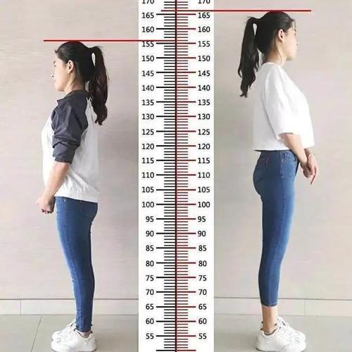 河南人的平均身高是多少