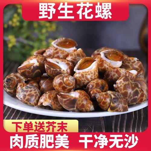 花螺能够存活多久