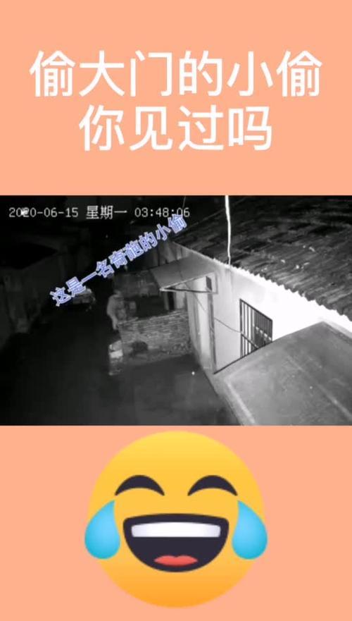 被人说脑回路清奇什么意思