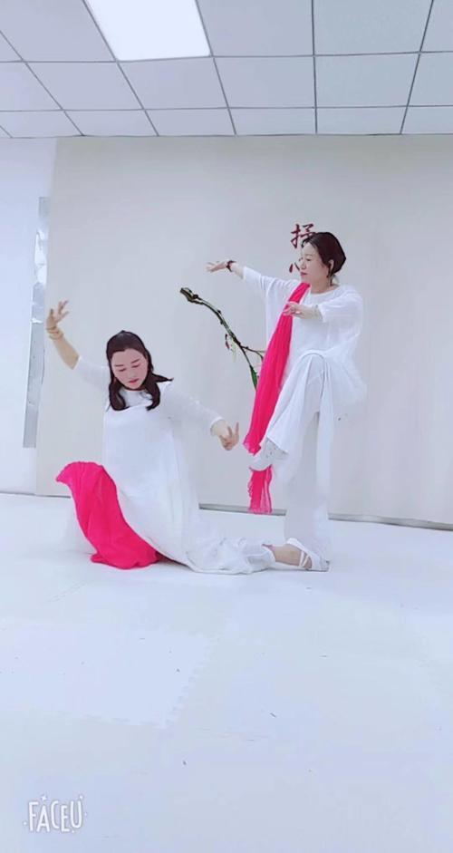 禅舞为什么不流行了