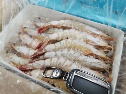 买回来的冻虾发黄好吗