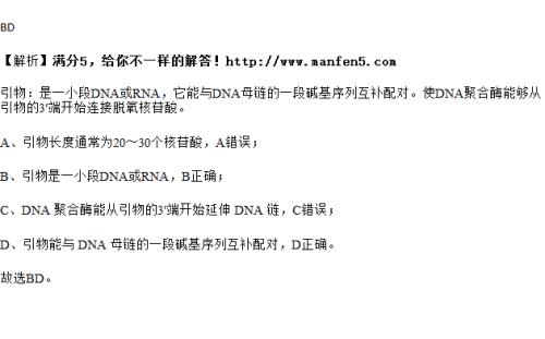 dna怎么插入一段，序列