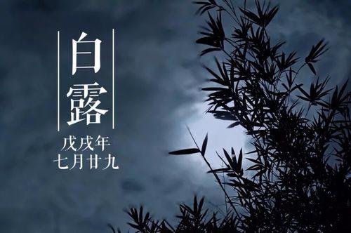 一杆明月约秋风什么意思