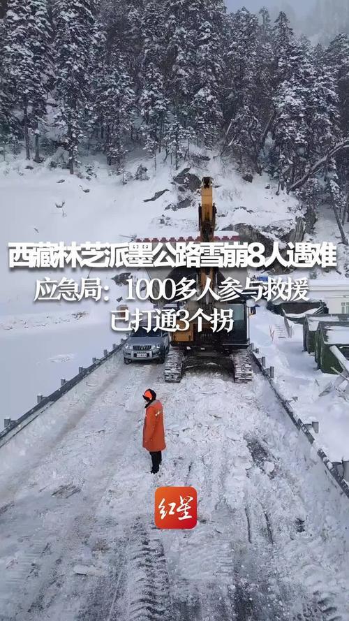 雪崩遇难怎么赔偿
