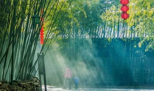 听风是风人云亦云的意思