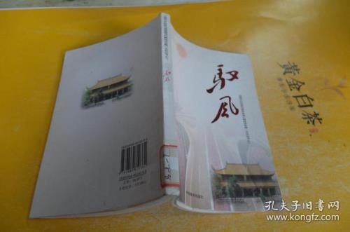 驭风少年人物原型