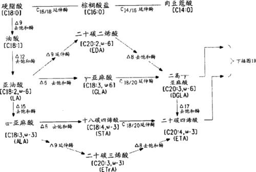 酶达到饱和是什么意思