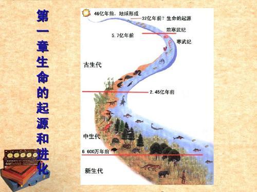 如何发掘生命的力量七年级