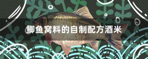 鲫鱼窝料配方