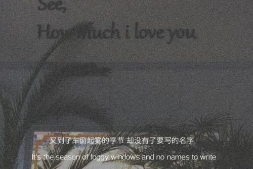 翻到以前的照片文案