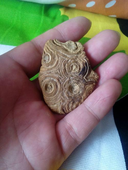 岩浆能变成玉吗