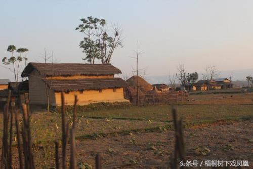 显才之地什么意思