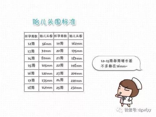头围测量对照表