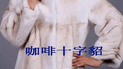 貂皮怎么分辨毛针长短