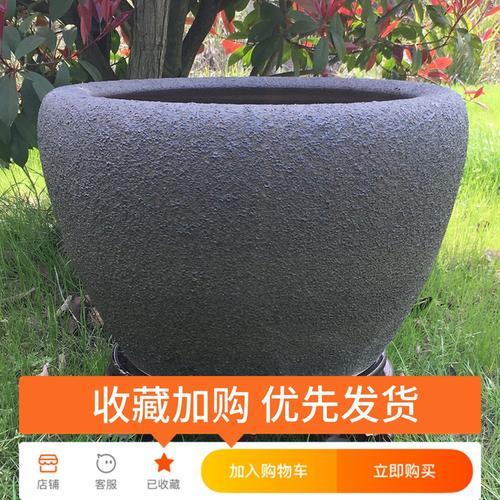 陶缸养鱼造景